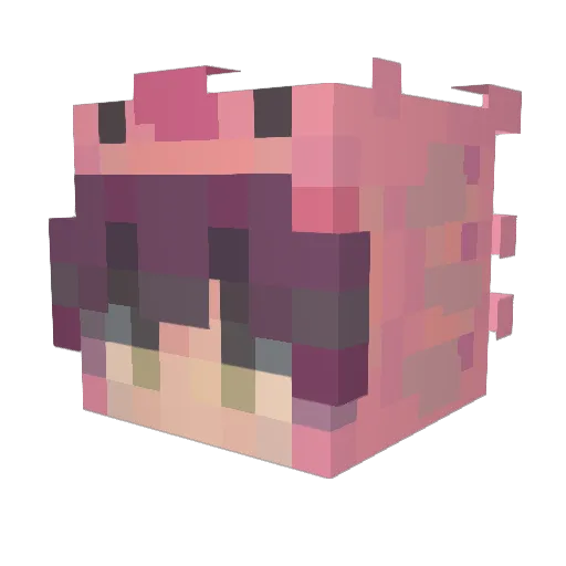 Lukip00ky Minecraft avatar head, 3D render