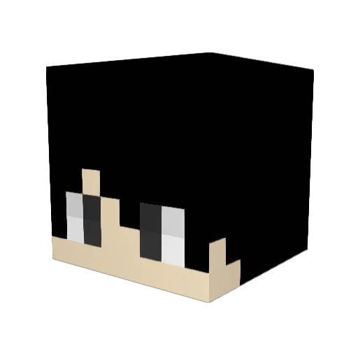 Lukk_Player Minecraft avatar head, 3D render
