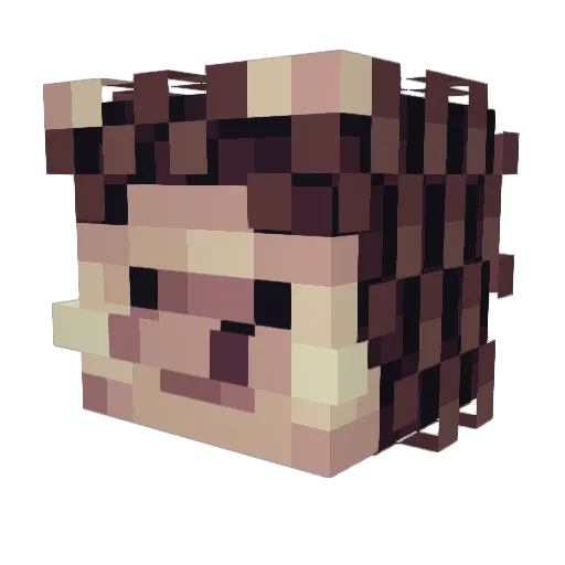 Luknhaa1 Minecraft avatar head, 3D render