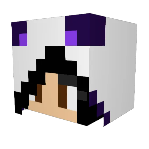 Lula2002 Minecraft avatar head, 3D render