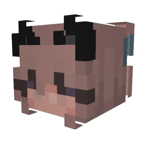 LulaBellX Minecraft avatar head, 3D render