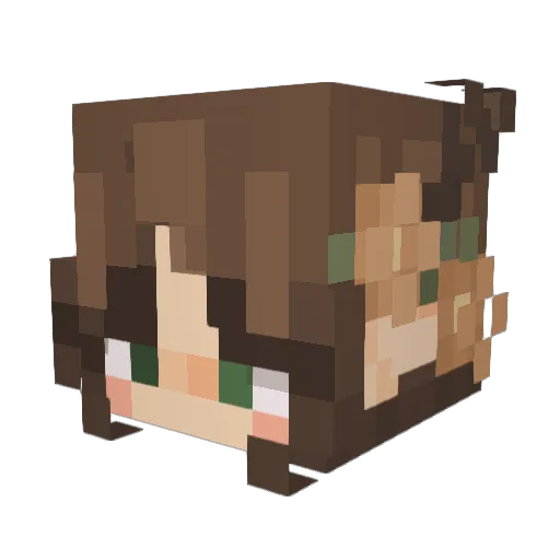 Lula_0806 Minecraft avatar head, 3D render