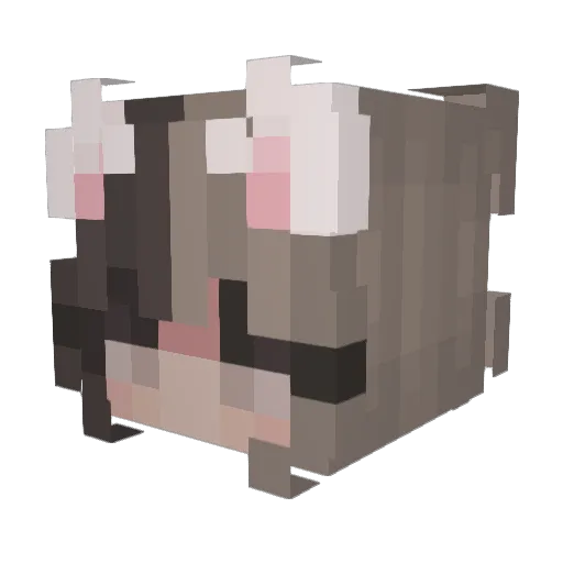 Luli468 Minecraft avatar head, 3D render