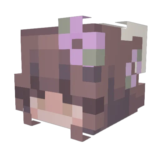 LuliVenus Minecraft avatar head, 3D render