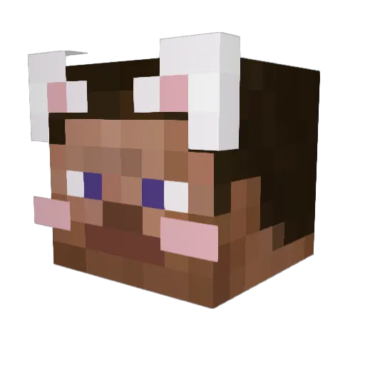 Lulipop243 Minecraft avatar head, 3D render