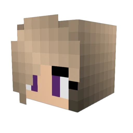 Lulu9338 Minecraft avatar head, 3D render