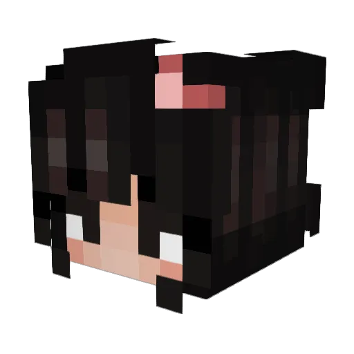 LuluCan Minecraft avatar head, 3D render