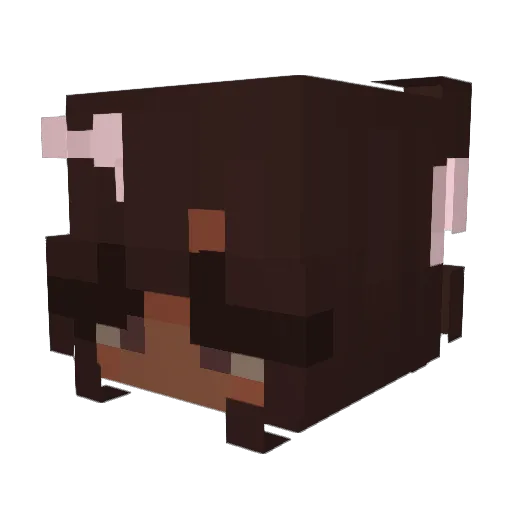 LuluPiti Minecraft avatar head, 3D render