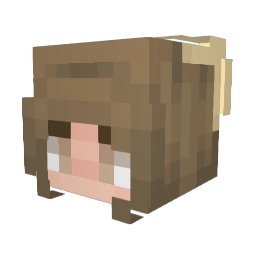 Lulu_Bunnee Minecraft avatar head, 3D render