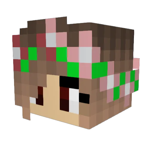 Luluc100 Minecraft avatar head, 3D render