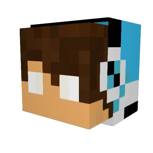 Lulucas05 Minecraft avatar head, 3D render