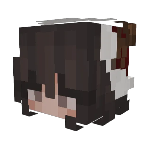 Lulufee69 Minecraft avatar head, 3D render