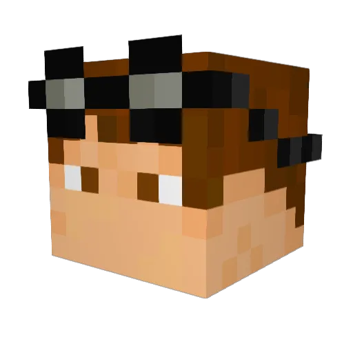 Lulzcritic Minecraft avatar head, 3D render