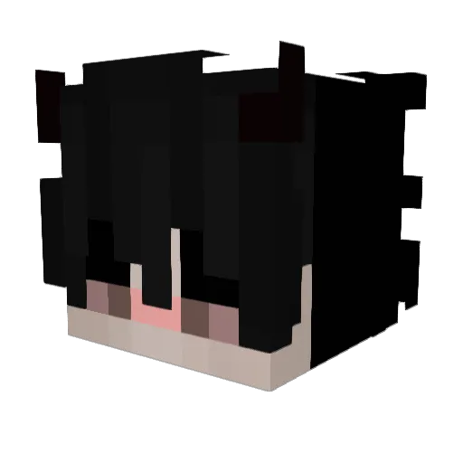 Lumania2020 Minecraft avatar head, 3D render