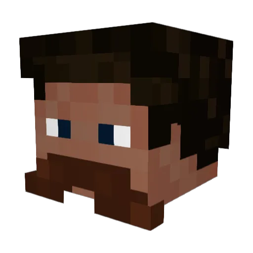 LumberjackStan_ Minecraft avatar head, 3D render