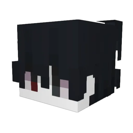 LumiGaming2115 Minecraft avatar head, 3D render