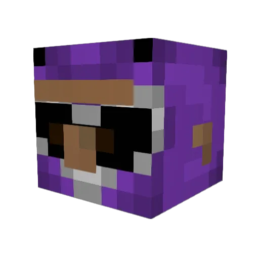 LumiNix___ Minecraft avatar head, 3D render