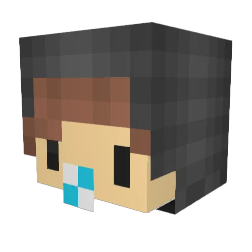 Lumi_cio Minecraft avatar head, 3D render