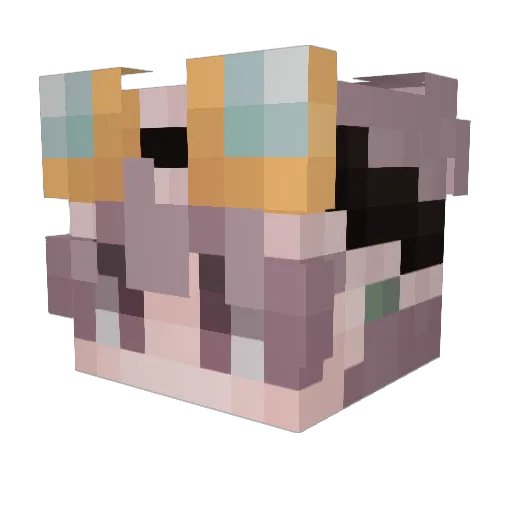 Lumiiiix Minecraft avatar head, 3D render