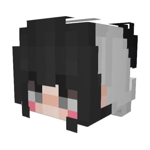 Lumikait Minecraft avatar head, 3D render