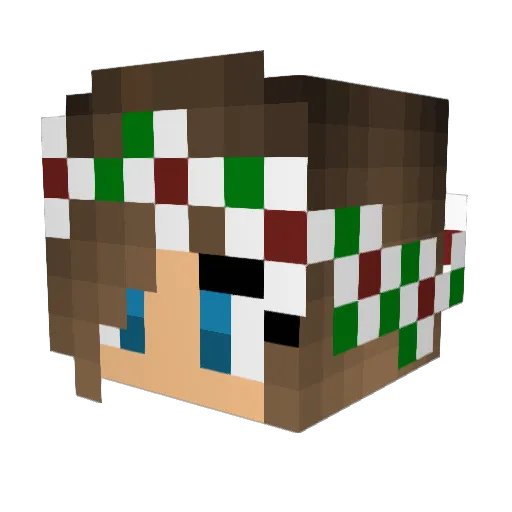 Lumina456 Minecraft avatar head, 3D render