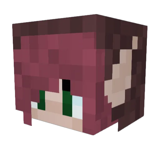 LuminaryPanda Minecraft avatar head, 3D render