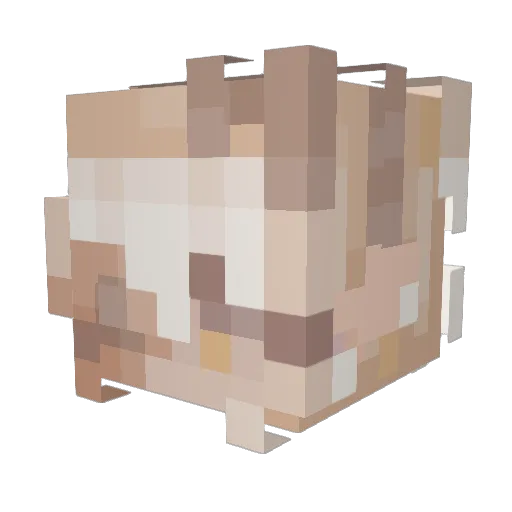 Lummii24 Minecraft avatar head, 3D render