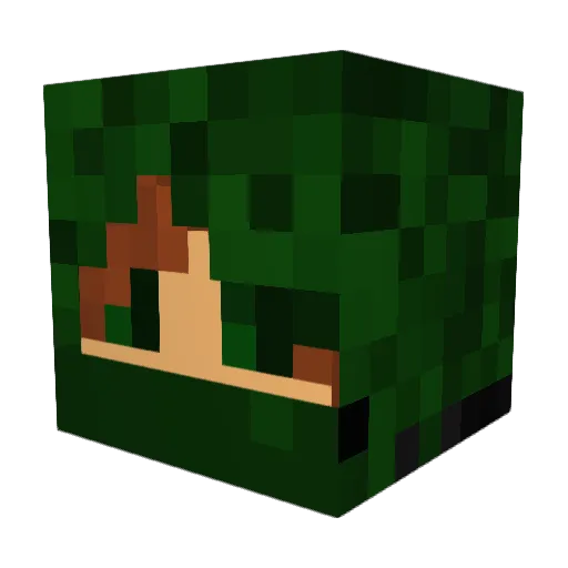 Lumnyan Minecraft avatar head, 3D render