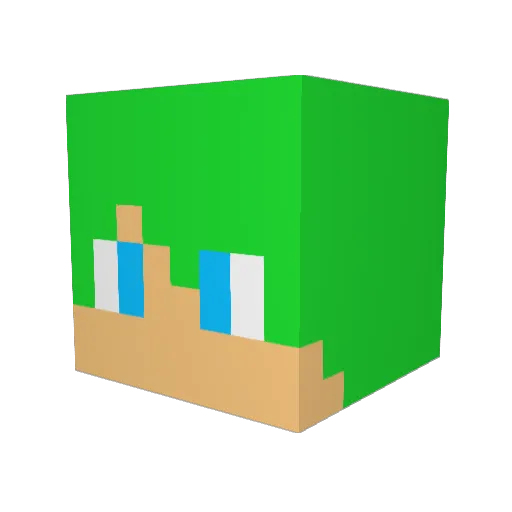 Lumos_11 Minecraft avatar head, 3D render