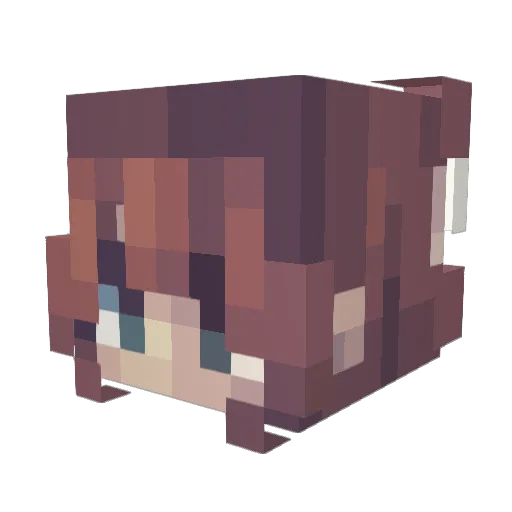 Lumosnox62 Minecraft avatar head, 3D render