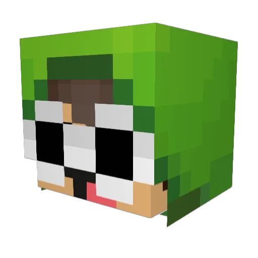 Lumpajk Minecraft avatar head, 3D render