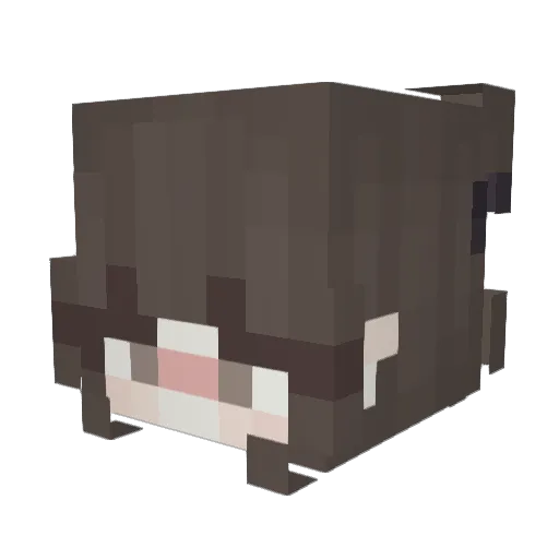 Lun1_1 Minecraft avatar head, 3D render