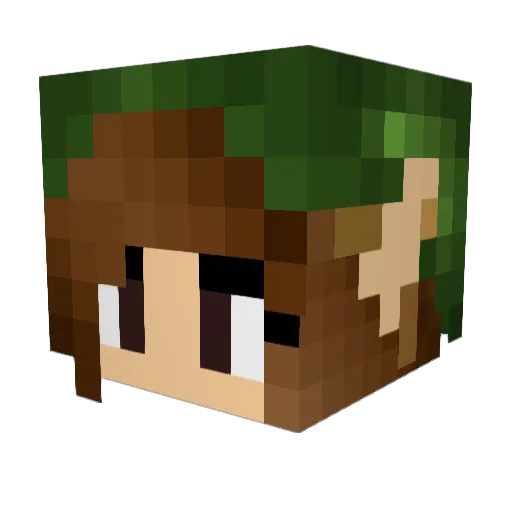 Luna1048 Minecraft avatar head, 3D render