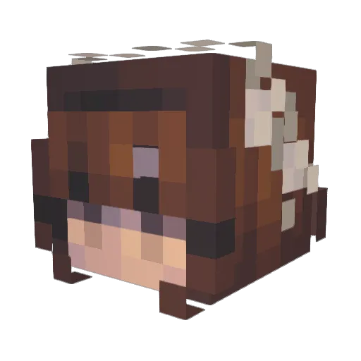 Luna4aa Minecraft avatar head, 3D render