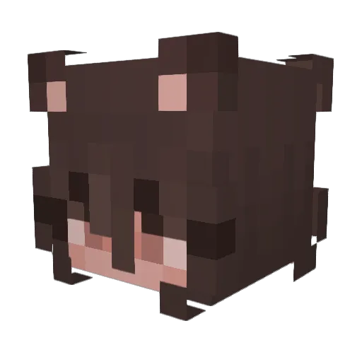Luna4evers Minecraft avatar head, 3D render