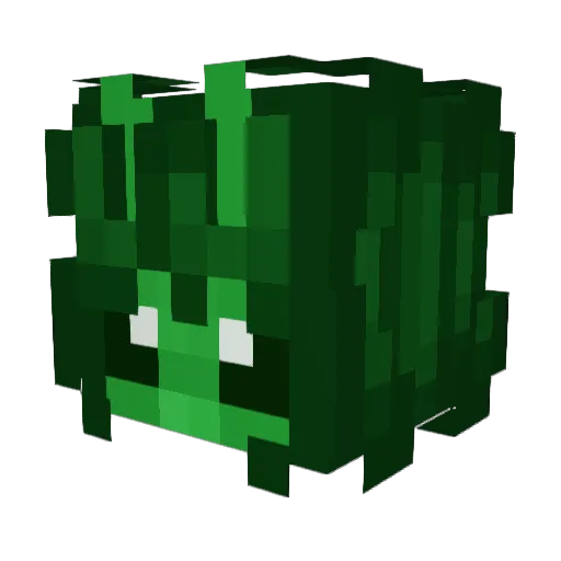 Luna554 Minecraft avatar head, 3D render