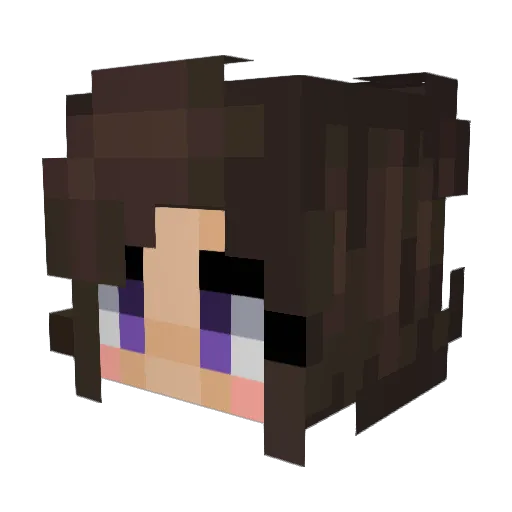 Luna661 Minecraft avatar head, 3D render