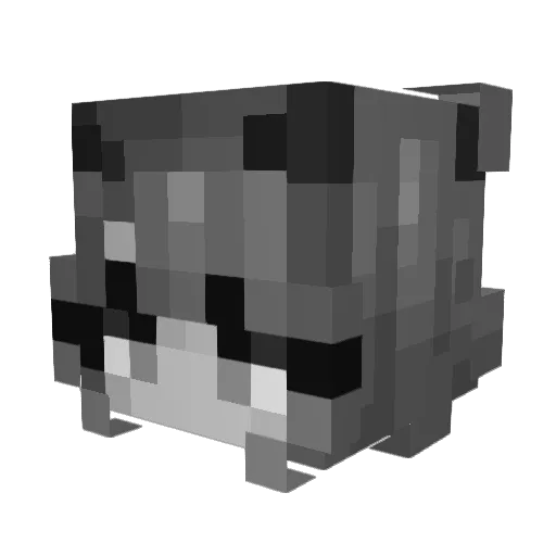 LunaEcliipses Minecraft avatar head, 3D render