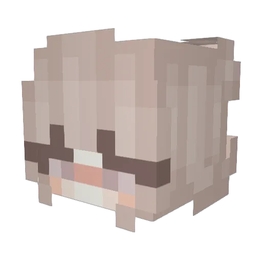 LunaFox12YT Minecraft avatar head, 3D render
