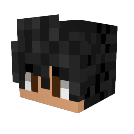 LunaJ_O5 Minecraft avatar head, 3D render