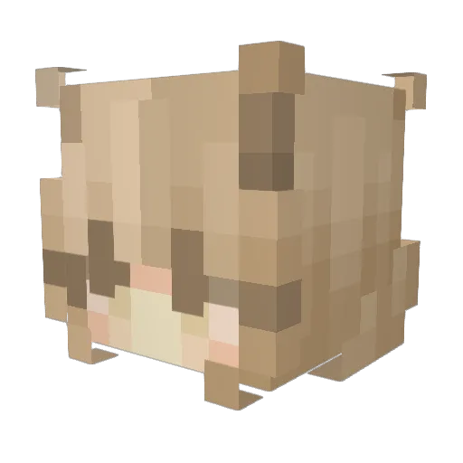 LunaLight1042 Minecraft avatar head, 3D render