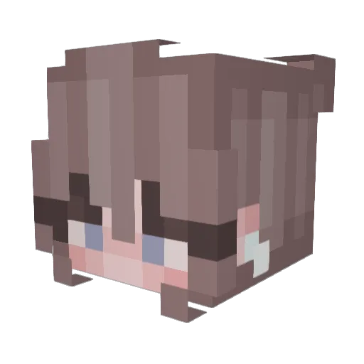 LunaLily2222 Minecraft avatar head, 3D render