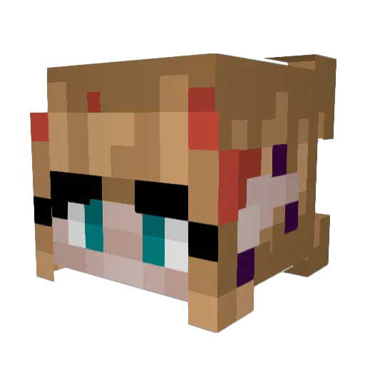 LunaLoo0 Minecraft avatar head, 3D render