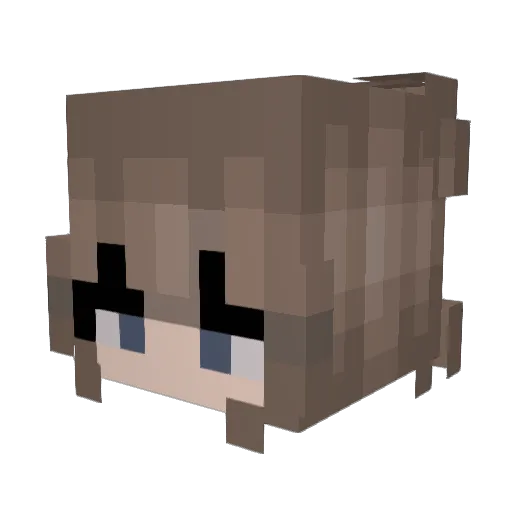 LunaLovegood9 Minecraft avatar head, 3D render