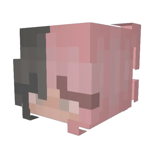 LunaLupus_ Minecraft avatar head, 3D render