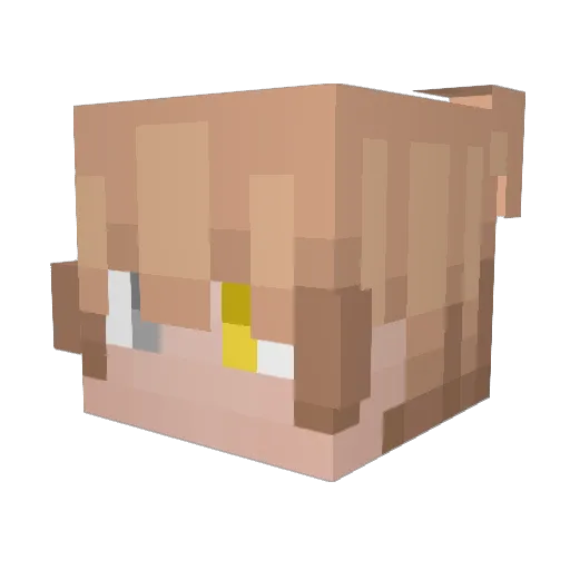 LunaMoonWolf108 Minecraft avatar head, 3D render