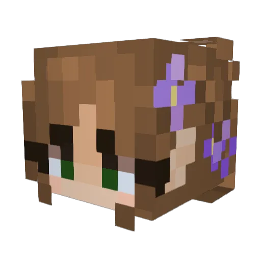 LunaMoth9 Minecraft avatar head, 3D render