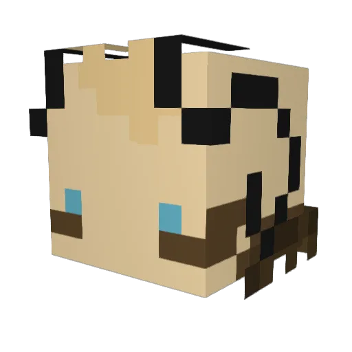 LunaNight0 Minecraft avatar head, 3D render