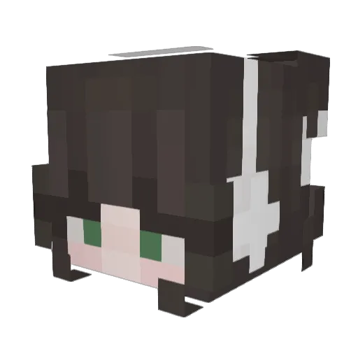 LunaRain123 Minecraft avatar head, 3D render
