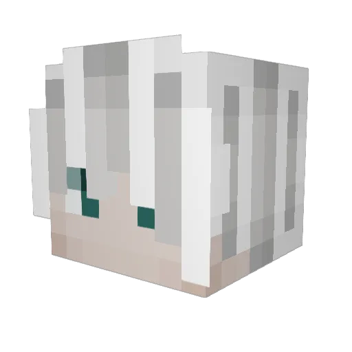 LunaRex_Maredor Minecraft avatar head, 3D render